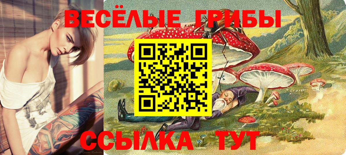закладка  Вход с VPN  Санкт-Петербург  Галлюциногенные грибы GOLDEN TEACHER 