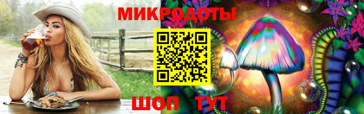 Галлюциногенные грибы мицелий Санкт-Петербург